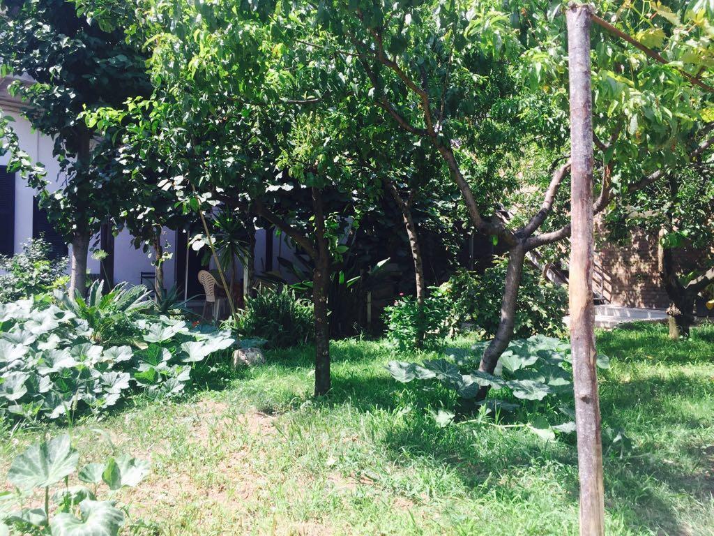 Aloha House Hotel Formia Ngoại thất bức ảnh